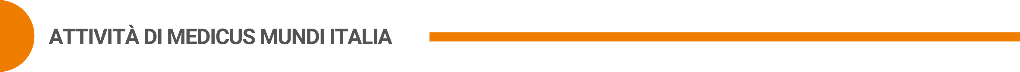 MMI LAYOUT SITO FACSCIA SOTTILE attività