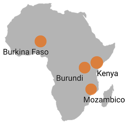 Carta geografica dell'Africa con i Paesi di intervento di Medicus Mundi Italia